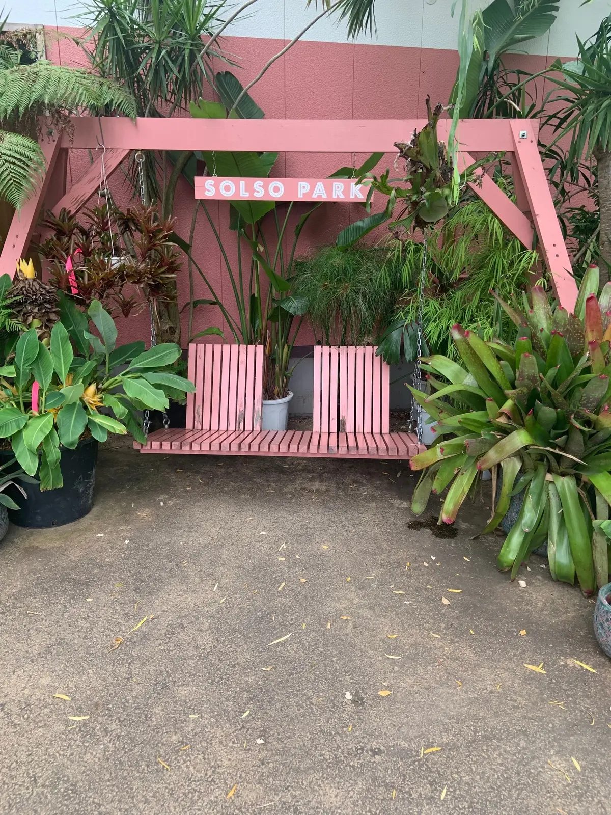 大人も楽しい空間の画像_2