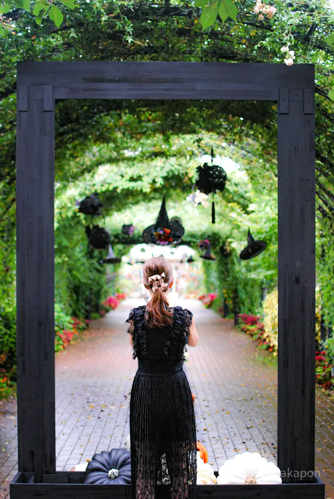 【さかぽんの冒険】ハロウィンの横浜イングの画像_14