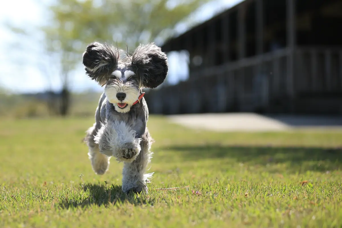 ペンションオリーブ