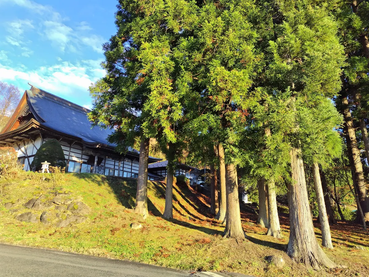 母の待つ里　ロケ地　善勝寺