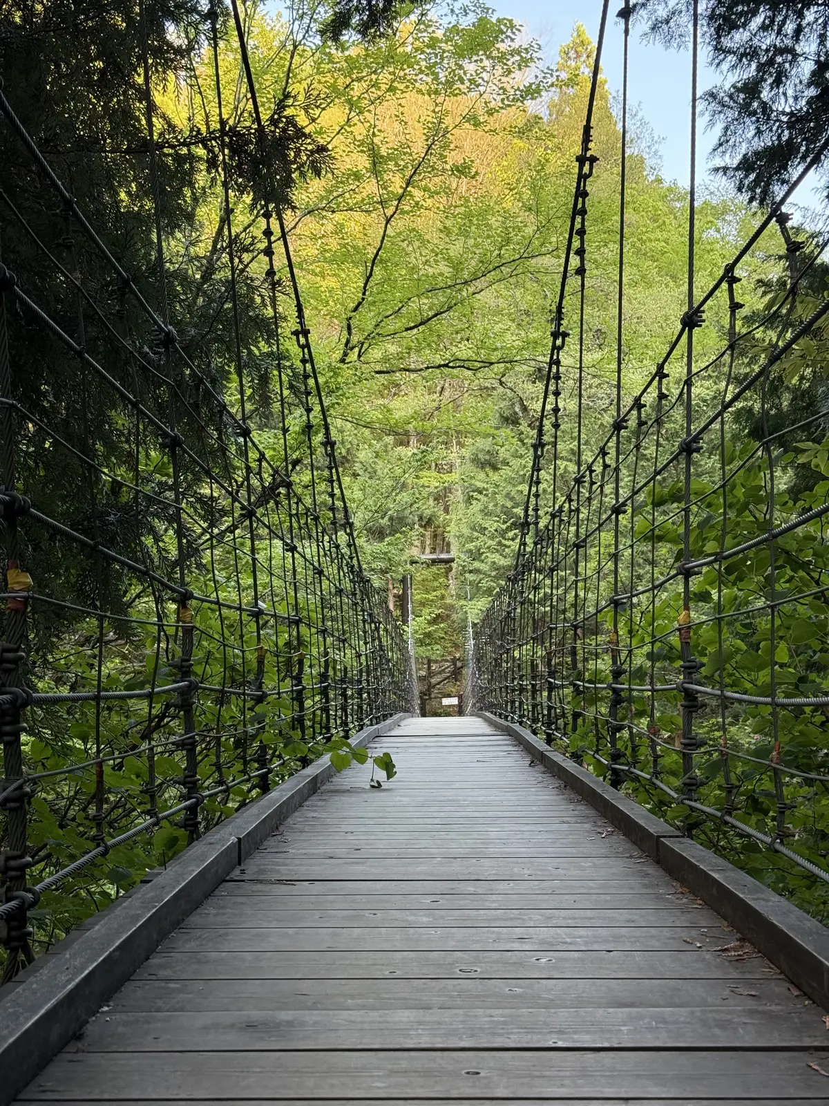 岐阜・付知峡の観音滝と新緑の風景と吊り橋