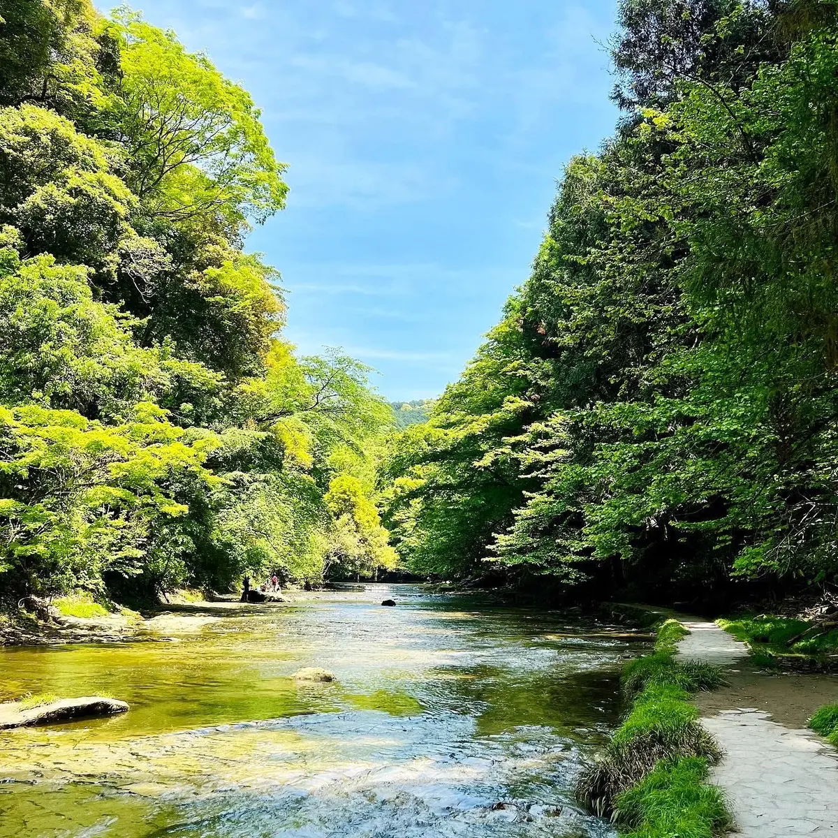 千葉県にある養老渓谷の景色