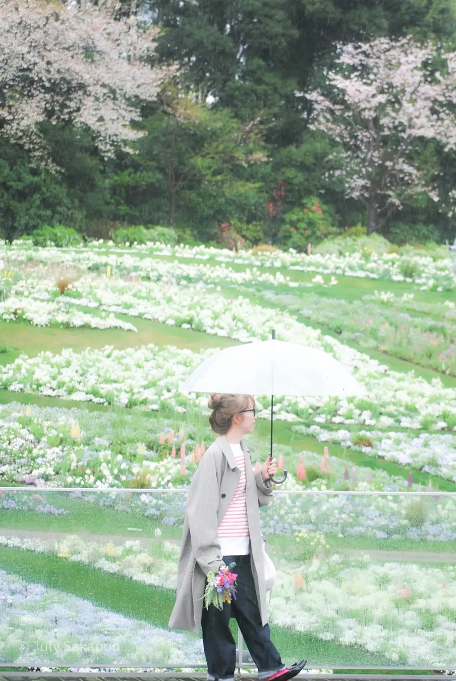 【さかぽんギャラリー】里山ガーデンフェスの画像_10