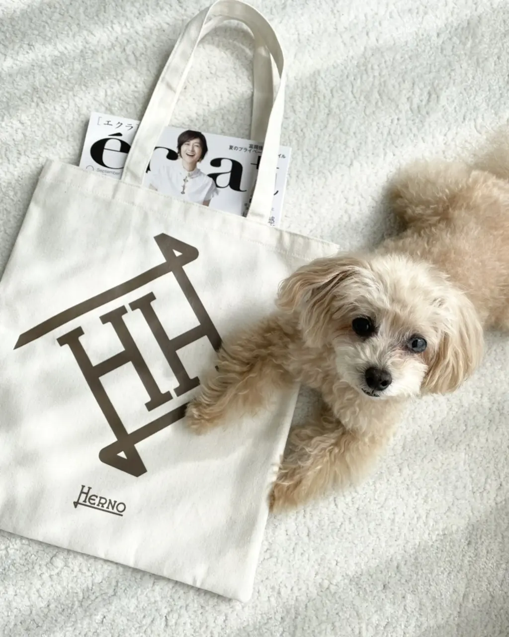 éclat 創刊15周年を記念して作られた特別付録　『HERNO トートバック』