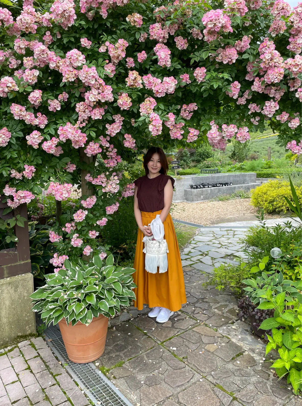 夏の蒜山ハーブガーデン・ハービルに行っての画像_2