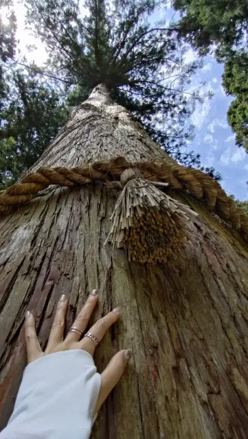 夏の茨城旅【後編】御岩神社から偕楽園、弘の画像_12