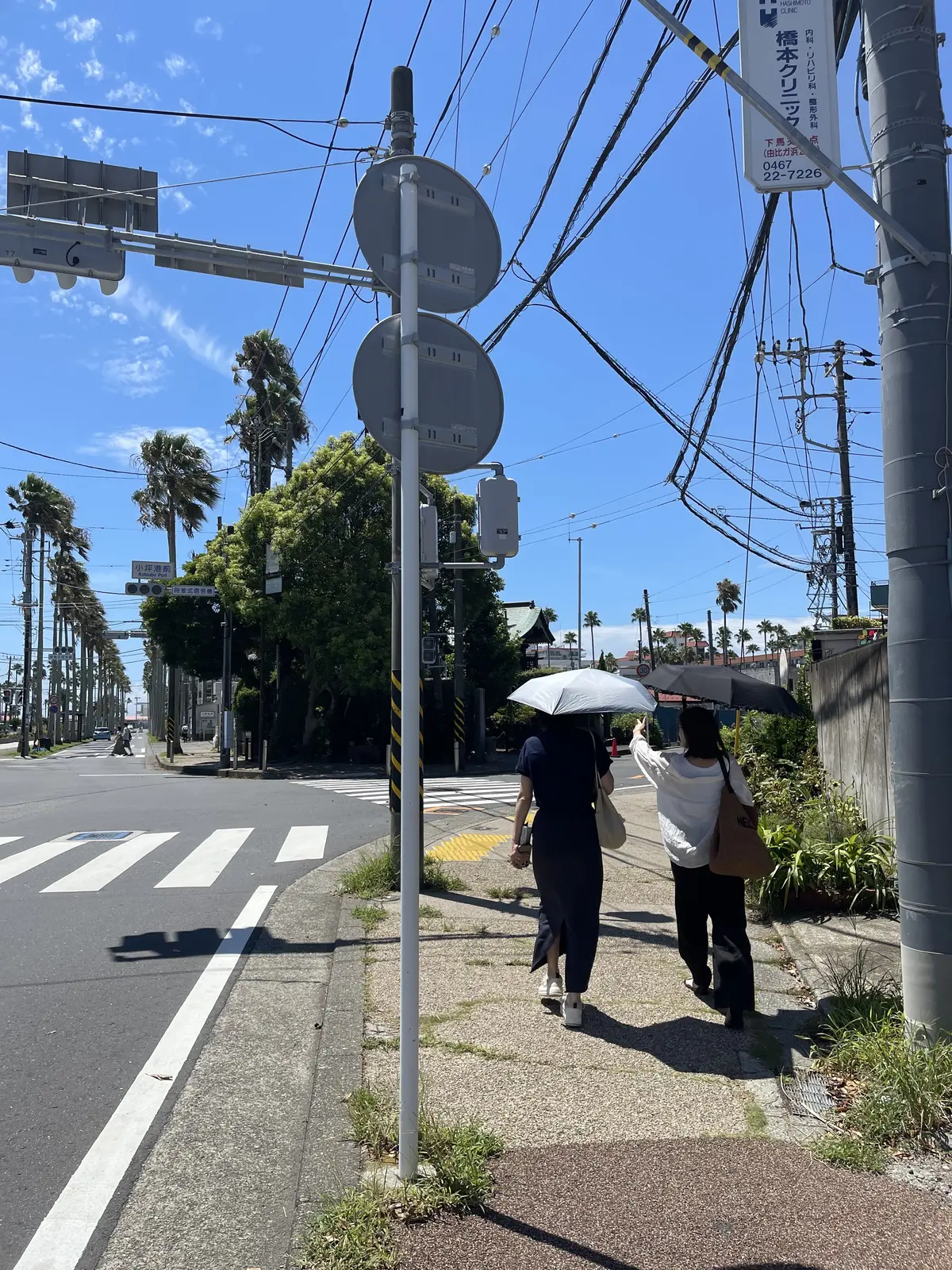 【湘南・逗子】人気グルメと期間限定カフェの画像_1