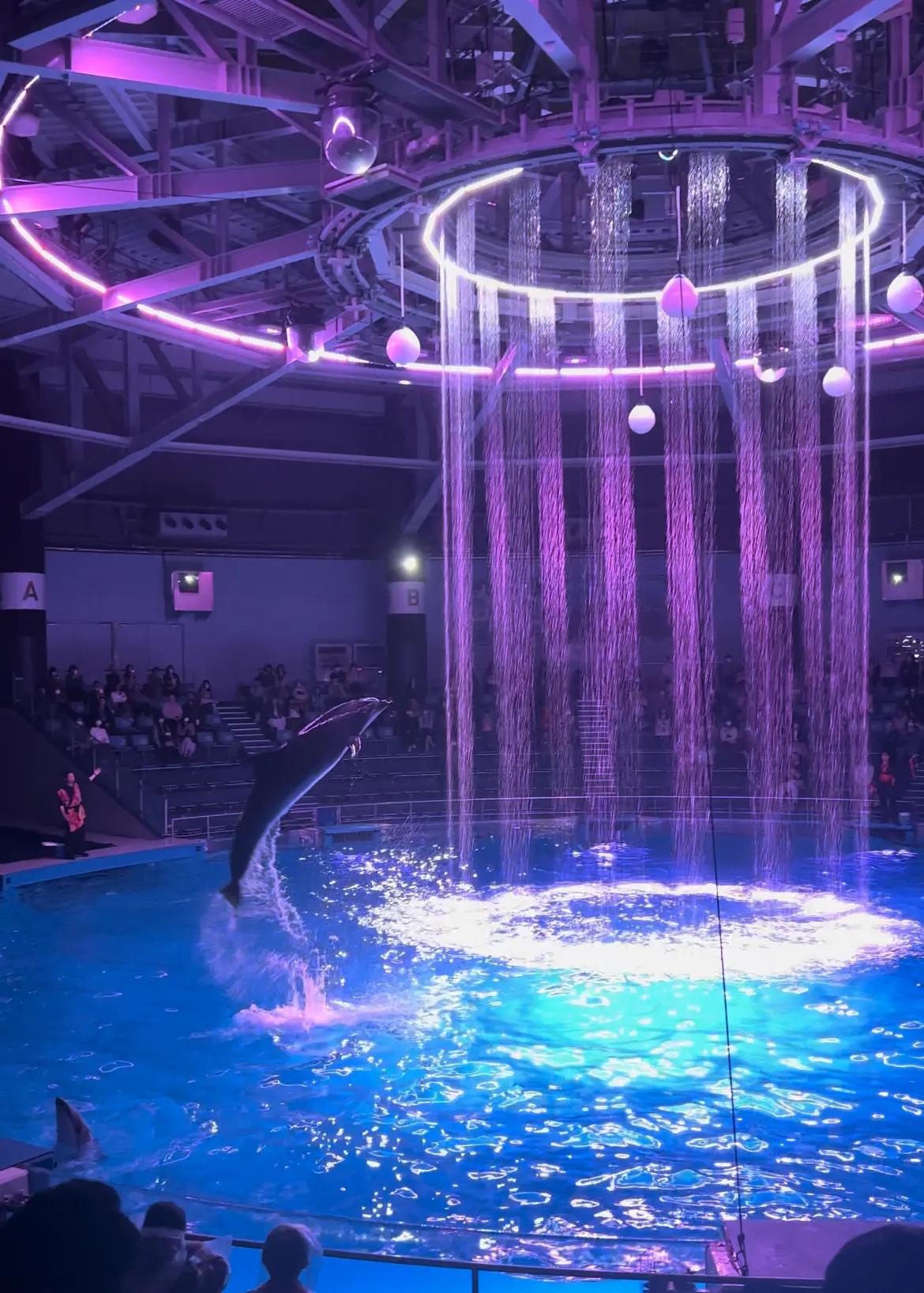 春のおすすめ♡大人の水族館デートの画像_8