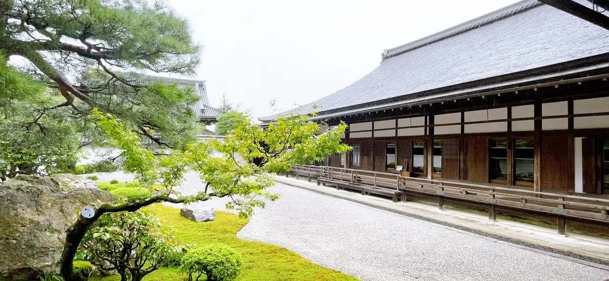 ZARAの秋色夏素材のサロペットで雨の南の画像_3