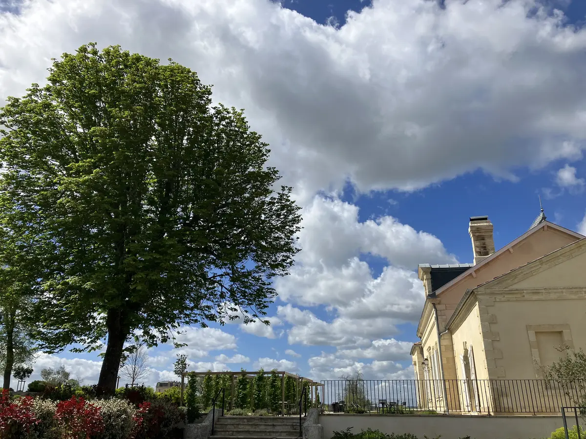 フランス旅行#2 サンテミリオン編の画像_5