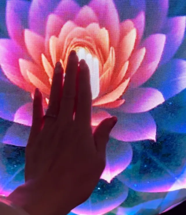 驚きとわくわくを試して♪お気に入り写真をの画像_3