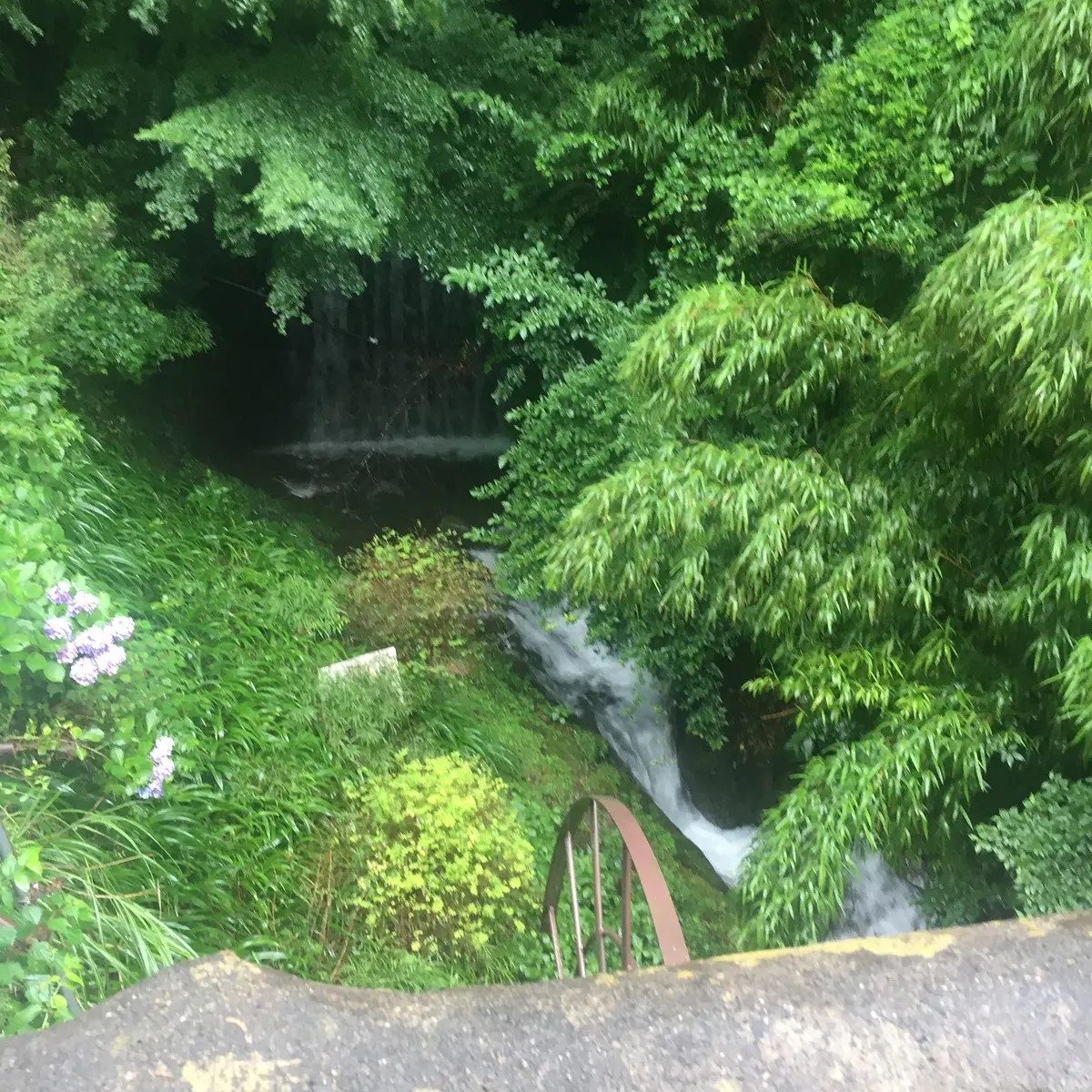 ケーブルカー駅までの道の横にも素敵な川が流れてます