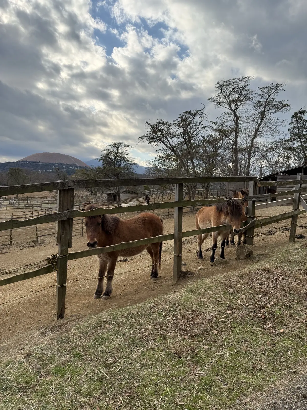 伊豆ホース・カントリー