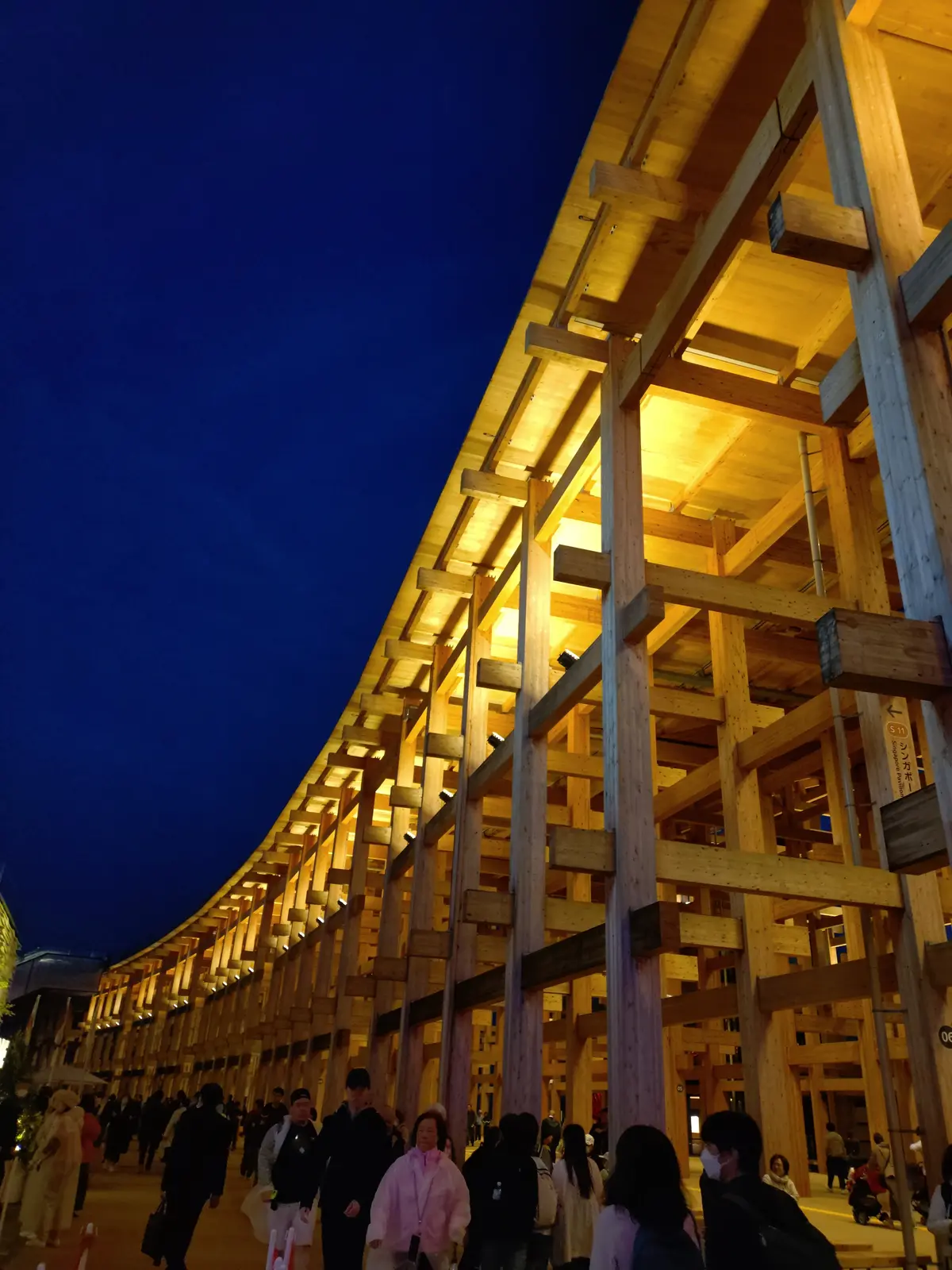 仕事帰りにフラリ、夜ソロ万博の画像_8