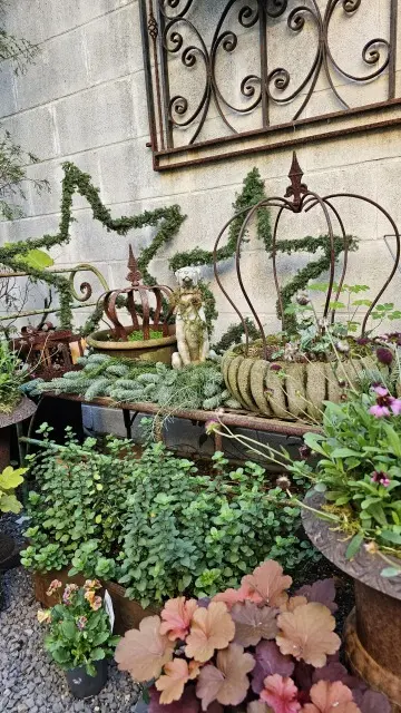 パンジーの寄せ植えリース作りの画像_6