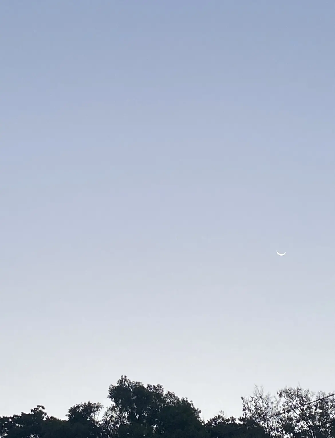 愛され続ける傑作@東京ステーションホテルの画像_1