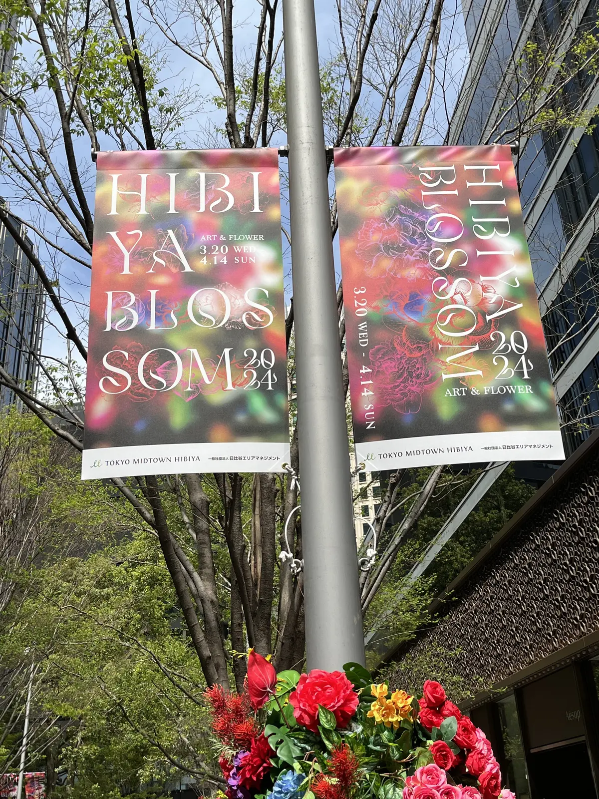 お花を楽しみに日比谷への画像_1