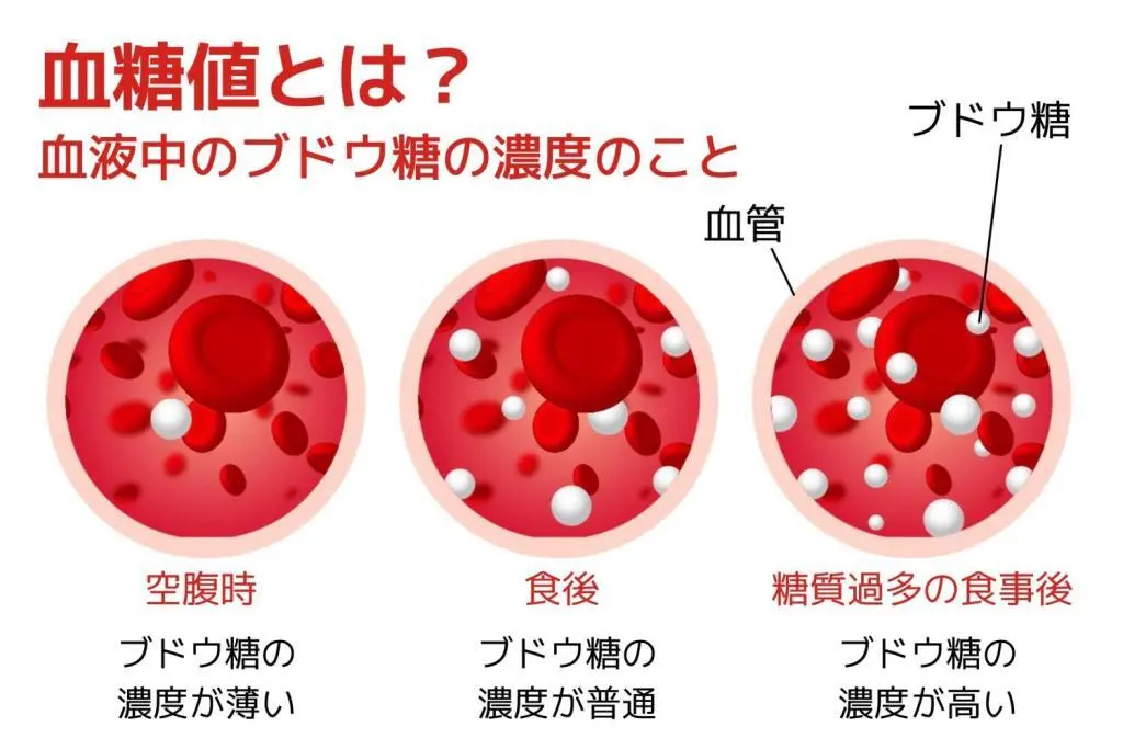 OurAge×Webエクラ　血糖値とは？