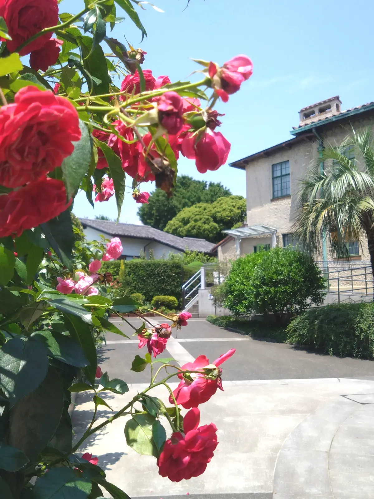 横浜西洋館、ベーリック・ホール、40代ファッション