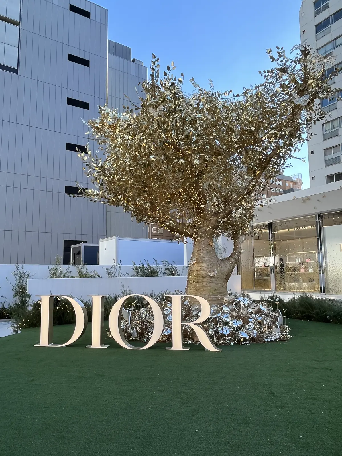 紅葉の中でアフタヌーンティー♪＆お花屋さの画像_9