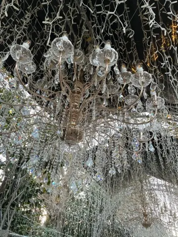 関東三大イルミネーション「湘南の宝石」@の画像_3