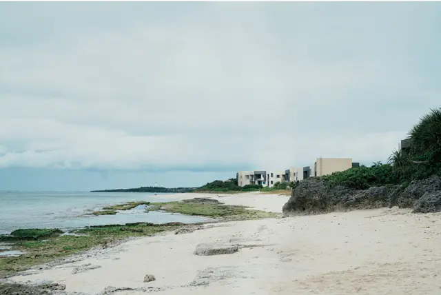 サンゴ礁が育つ遠浅の海。隆起した石灰石にはアオサが育ち、野趣あふれる砂浜が魅力的
