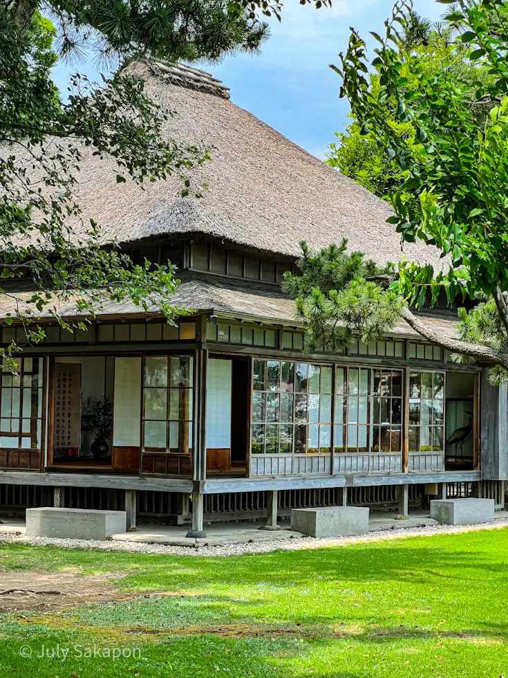 【さかぽんの冒険】七夕☆松ごしに望む海岸の画像_15