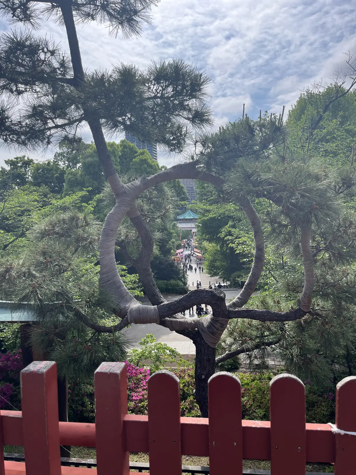 デ・キリコ展とクリームみつ豆。の画像_8