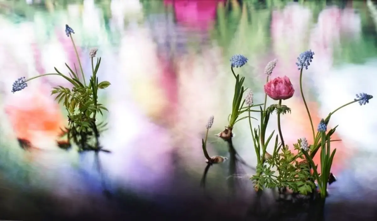 ヴァン クリーフ＆アーペル「LIGHT OF FLOWERS ハナの光」メイン