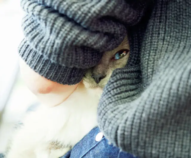 後ろに回ると、ブルーの目がちらり