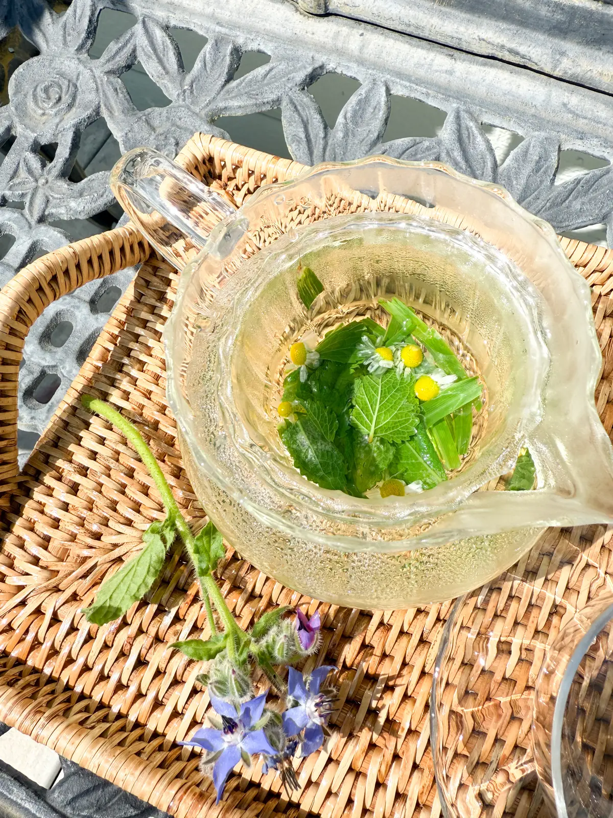 タッジーマッジーで癒しの時間の画像_6