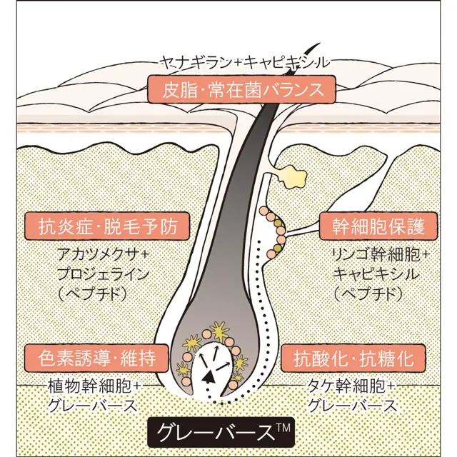 資料・写真提供：ネイチャーラボ