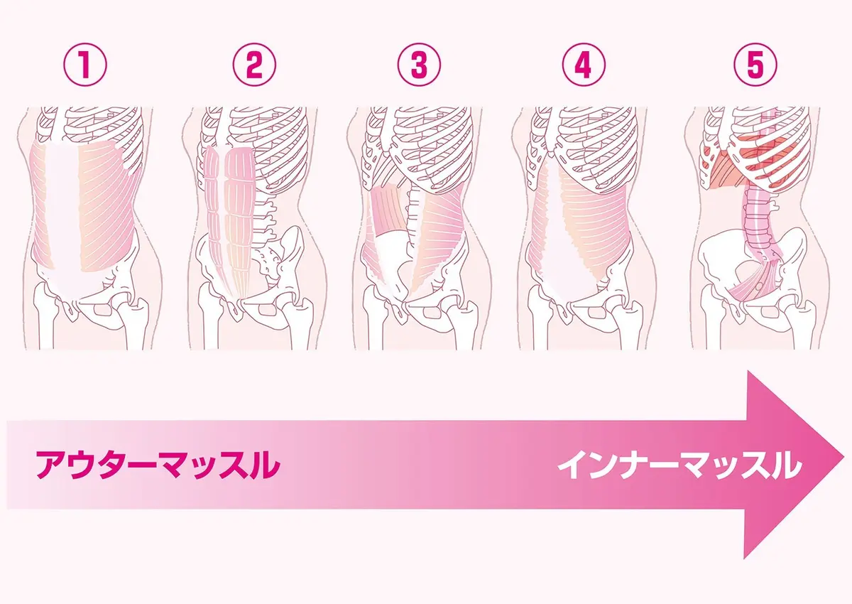 体幹にかかわるアウター＆インナーマッスル　OurAge×Webエクラ