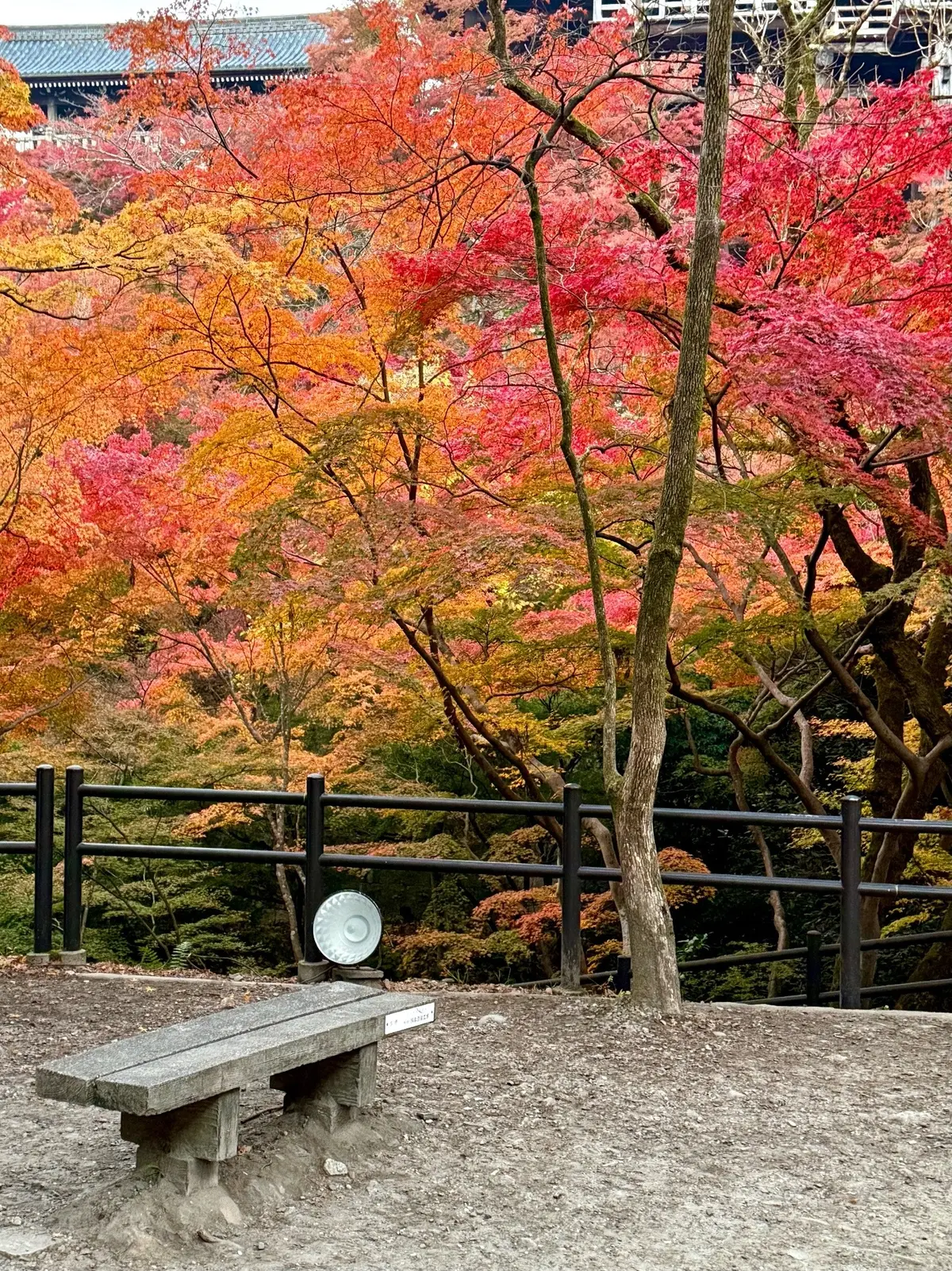 【大人の京都】寺院仏閣とお気に入りの秋のの画像_16