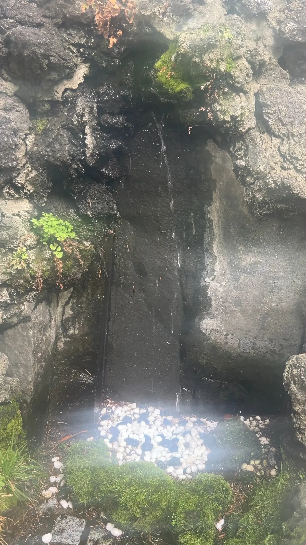 ふらっと日帰り一人旅〜東京神社めぐり〜の画像_8