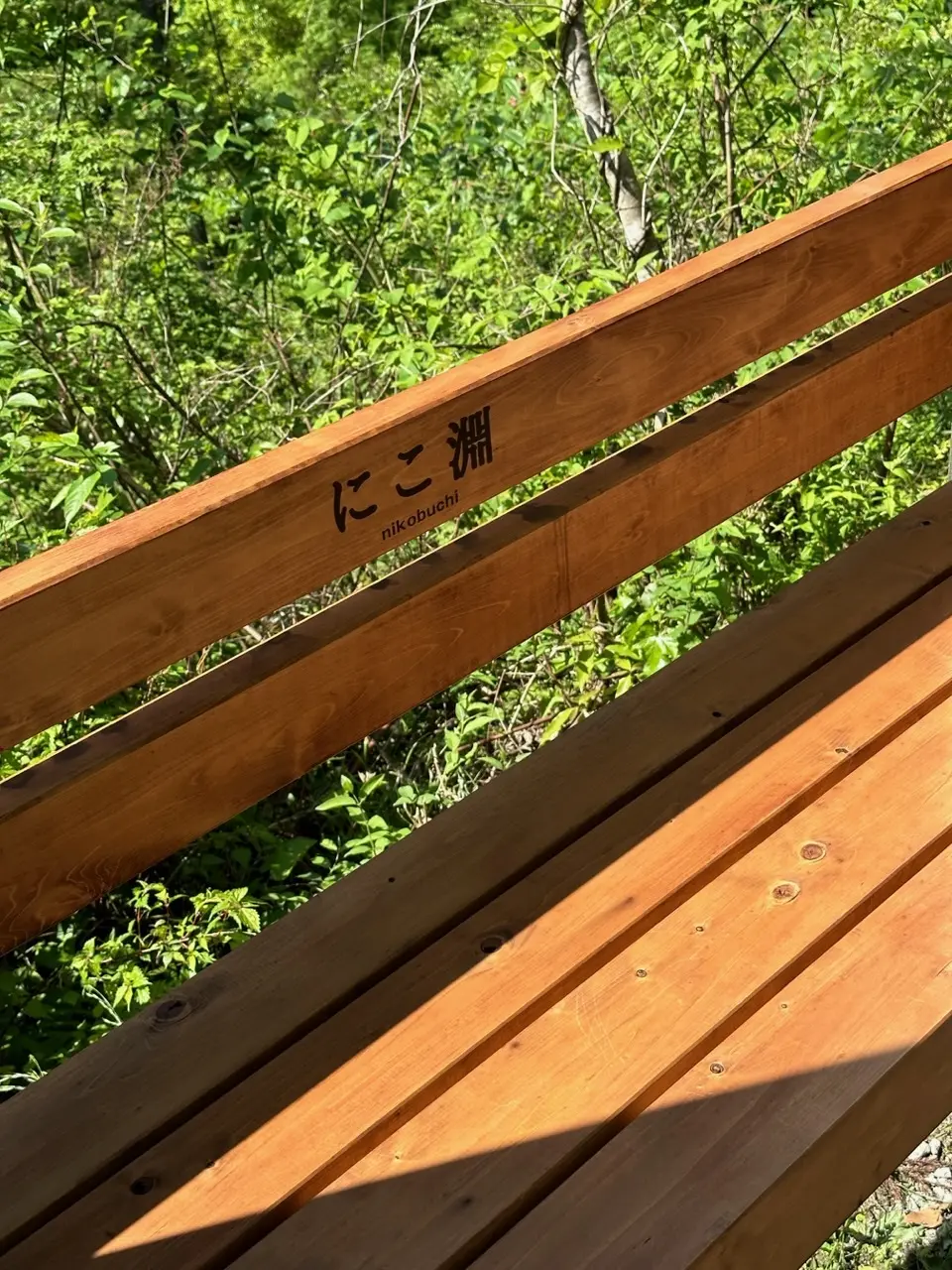 奇跡の清流（高知・仁淀川）へ、仁淀ブルーの画像_6