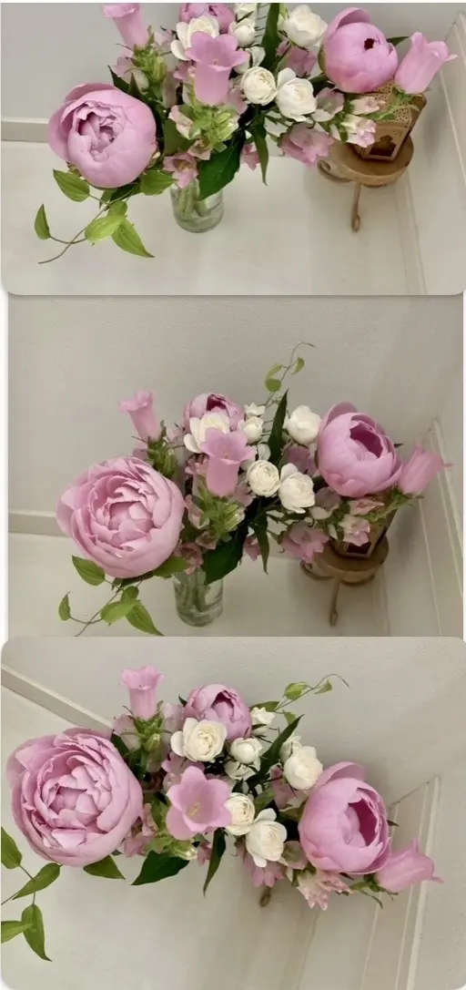 芍薬（しゃくやく、シャクヤク〉の季節 硬い蕾が開花