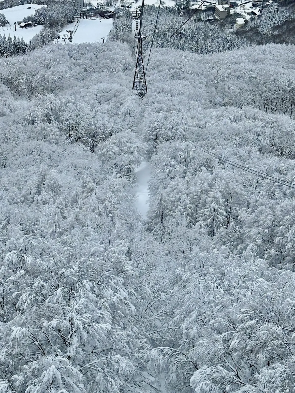 樹氷と美肌の湯を楽しむ♡山形県蔵王への旅の画像_32