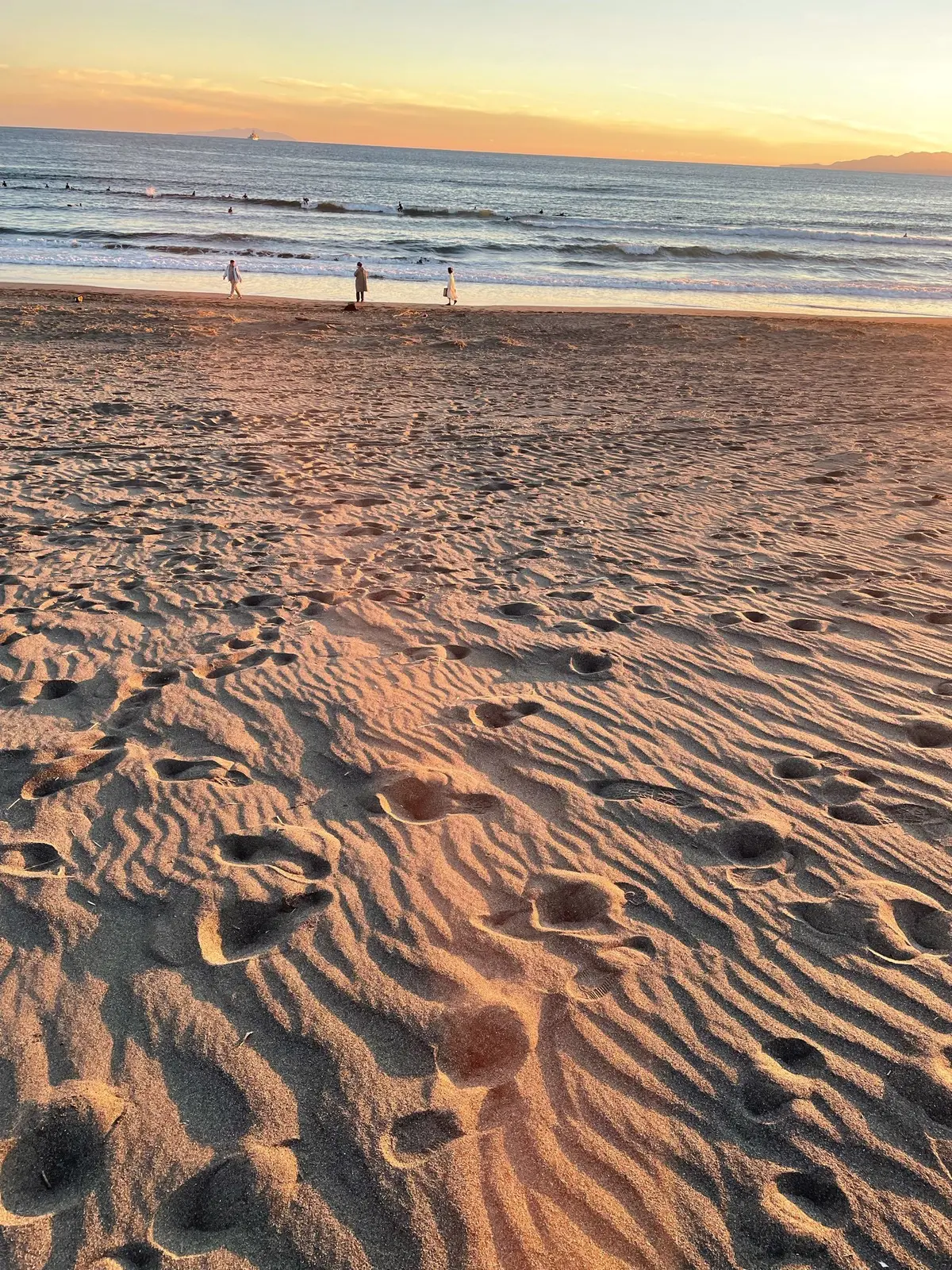 趣味の一眼レフカメラを再びの画像_2