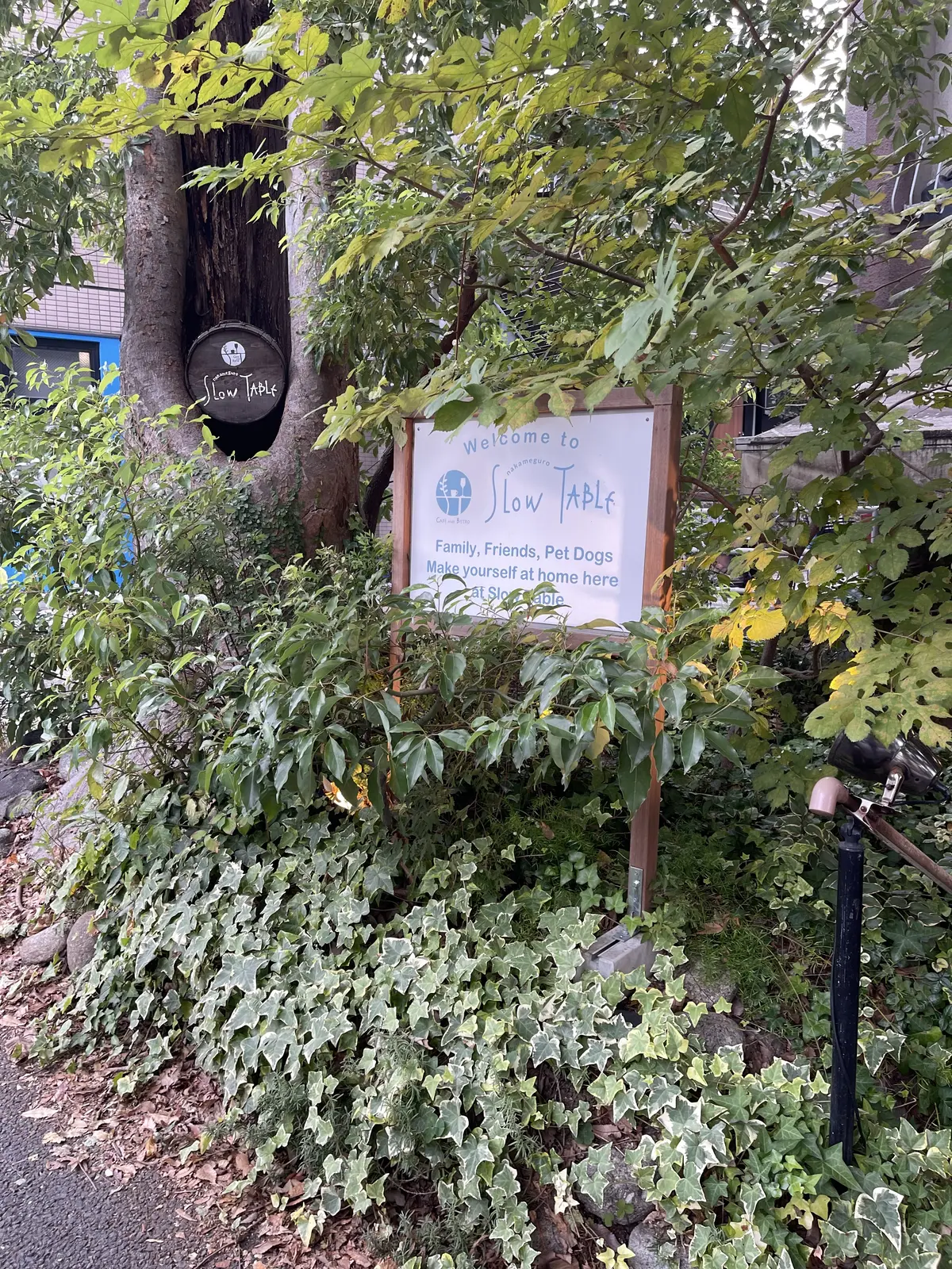 UNIQLOのベロアパンツとピンクニットの画像_3