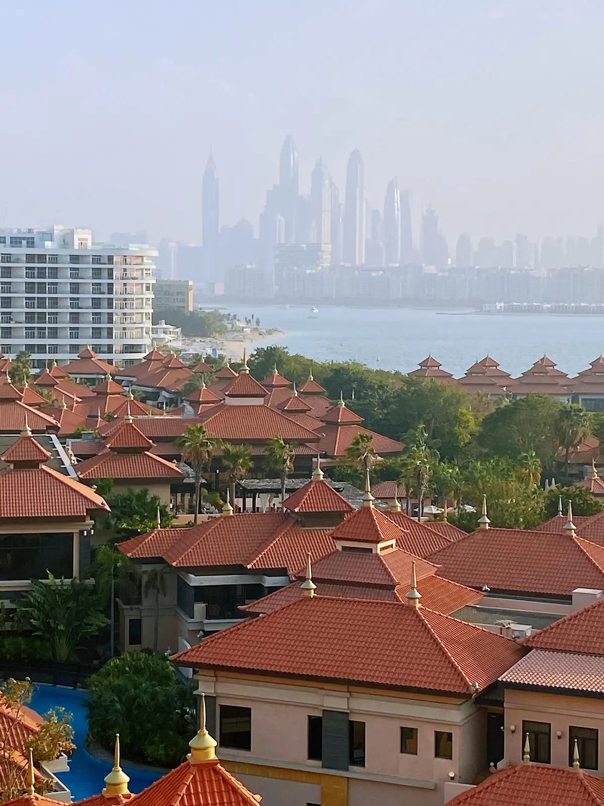 ドバイの楽園プライベートビーチ＆プール の画像_33