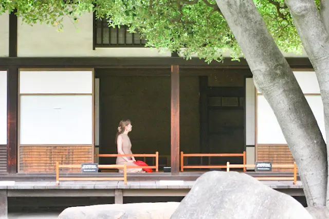 【さかぽんの冒険】ダイナソー🦖に会いに上の画像_8