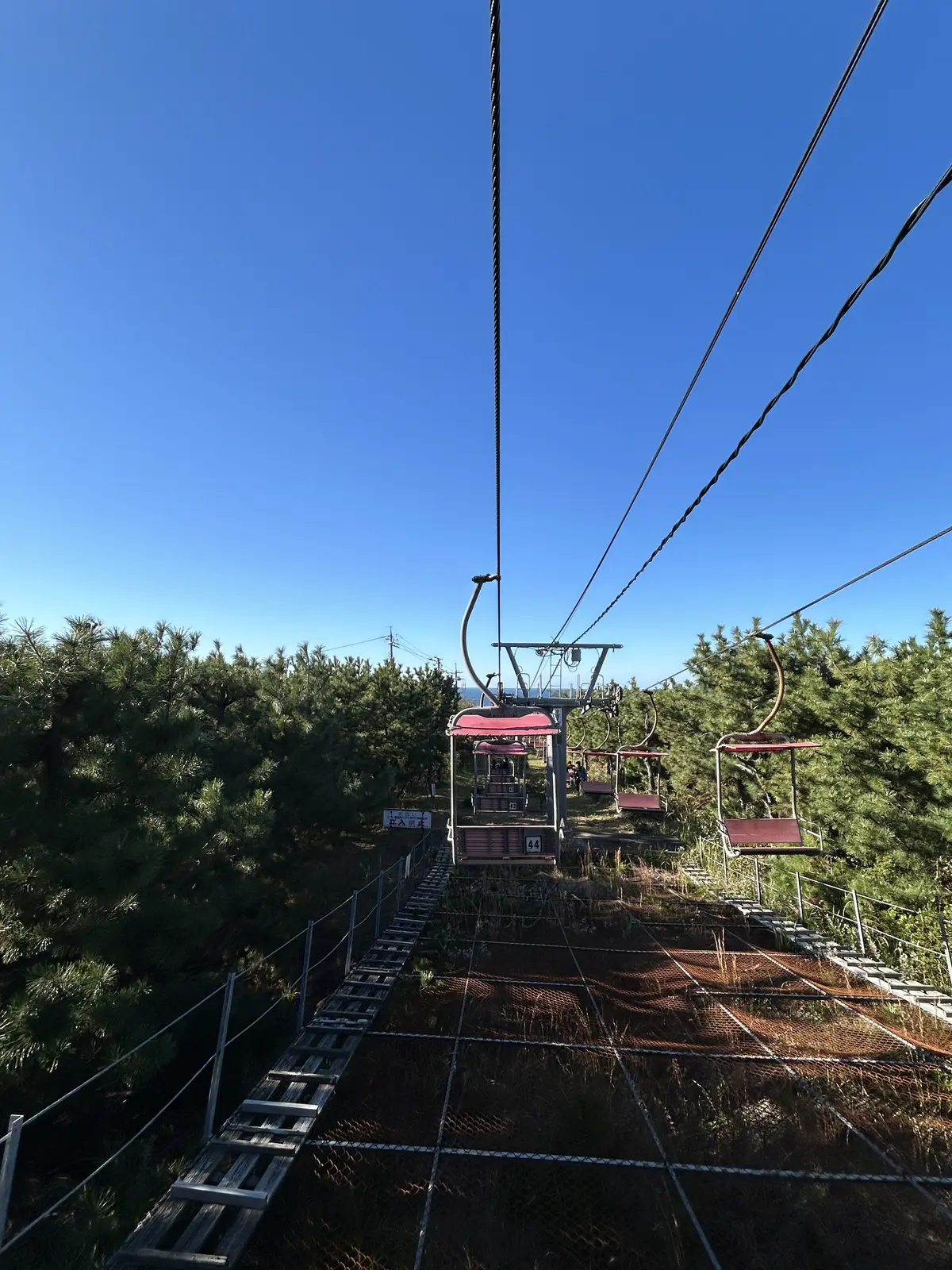 秋の遠足 -11月の鳥取でリフレッシュの画像_9