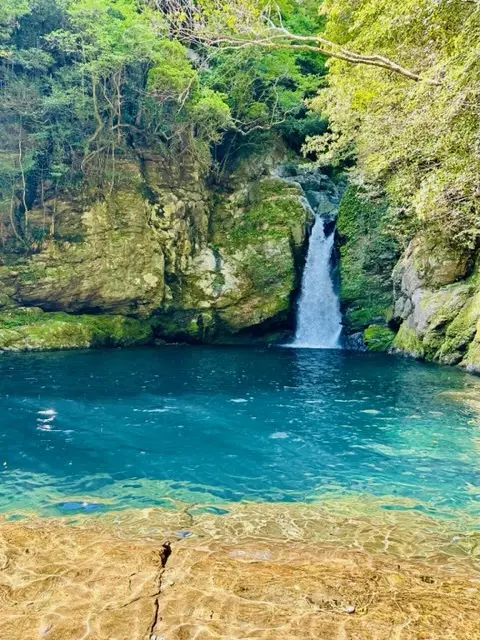 奇跡の清流（高知・仁淀川）へ、仁淀ブルーの画像_11