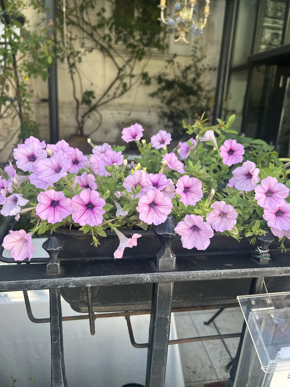 アラフィフ女子会ランチには、きれいめデニの画像_8