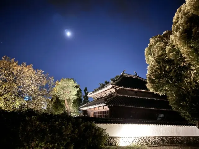 幻想的な雰囲気に包まれた灯りイベントの画像_11