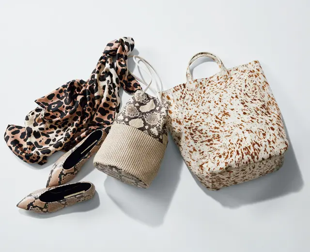 ベージュトーンと相性のよいアニマル柄の小物