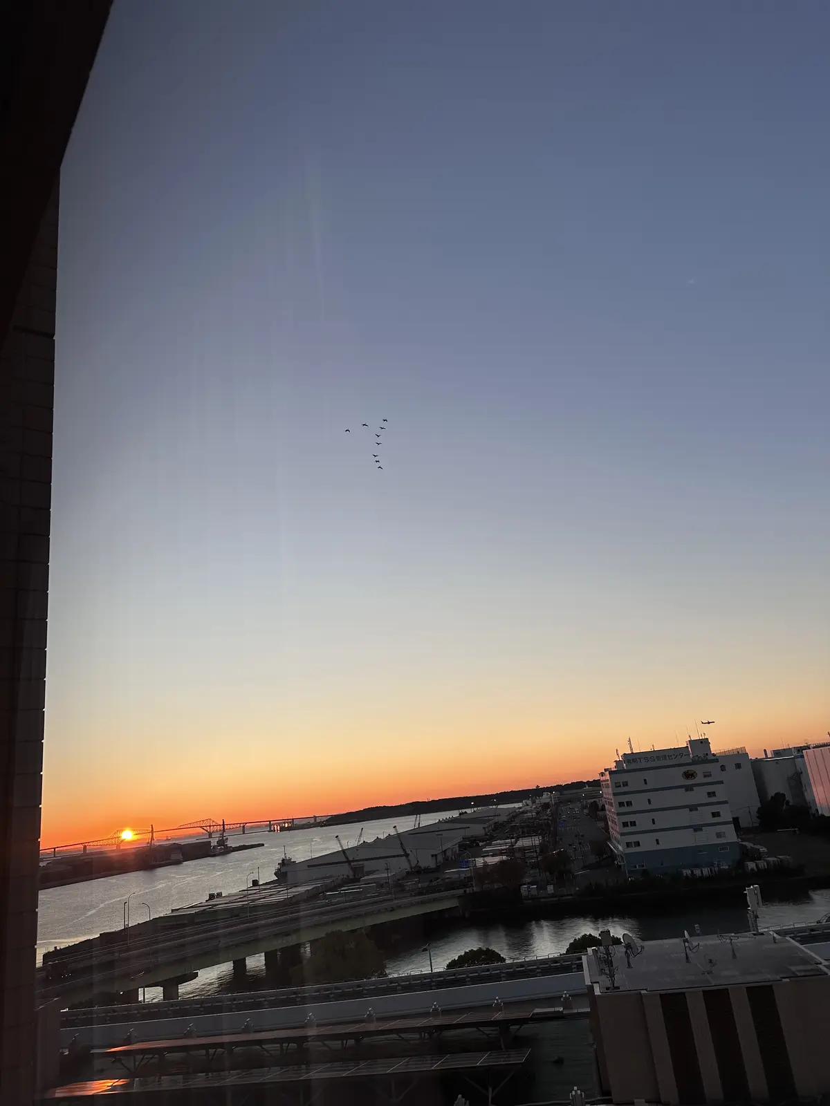 eclat 初めてのソワレ・ドゥ・エクラの画像_9