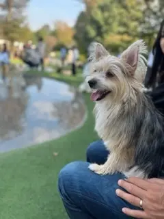 お膝の上にのってはいるものの嬉しい様子！