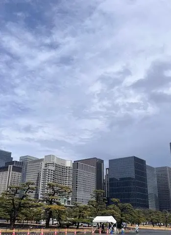 今年の桜の画像_1